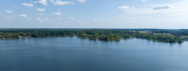1018AND1020 Pueblo Pass, Lake Isabella, MI 48893