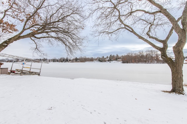 view of yard layered in snow