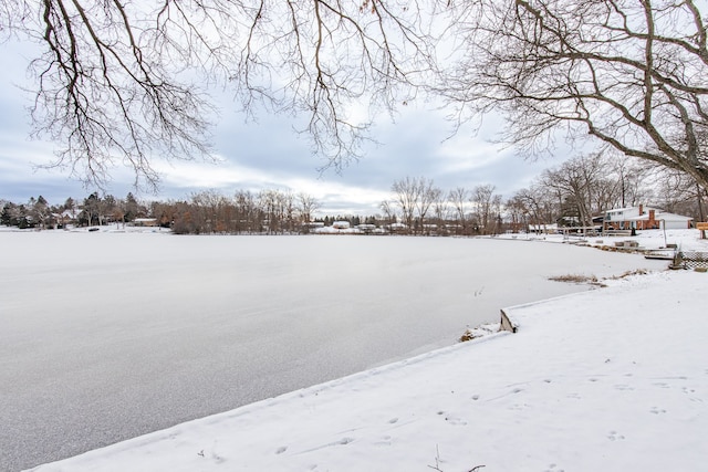 view of yard covered in snow