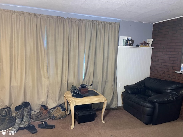 living area with carpet