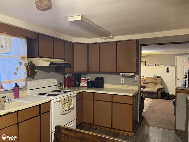 kitchen with sink, dark brown cabinets, dark hardwood / wood-style flooring, and electric stove