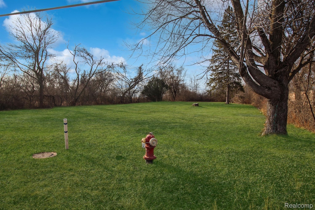 11398 Harrison, Romulus, MI 48174 - photo 3