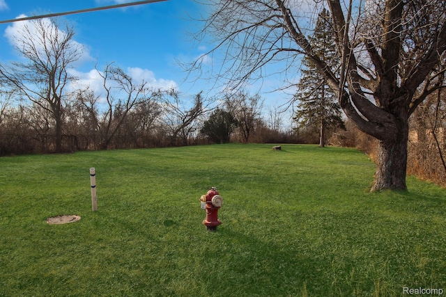 11398 Harrison, Romulus, MI 48174 - photo 3