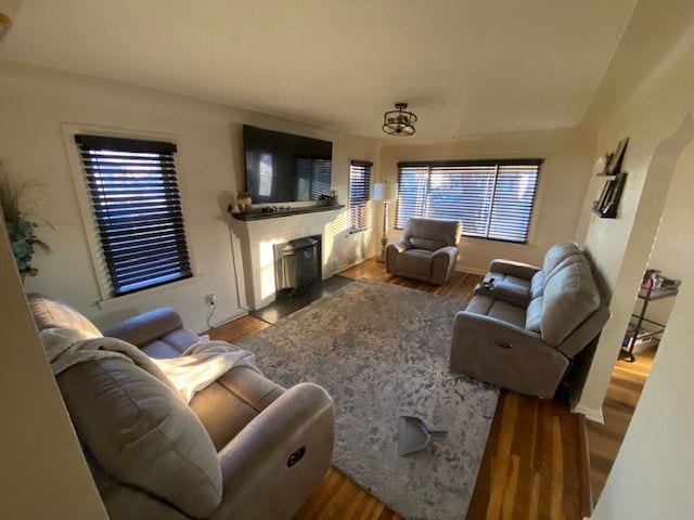 living room featuring wood-type flooring