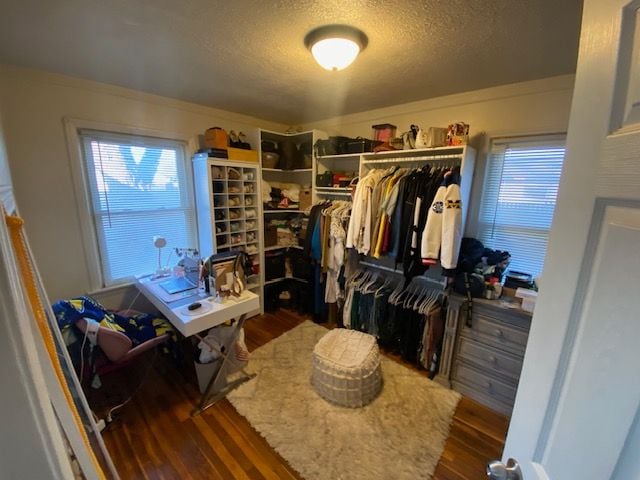 spacious closet with dark hardwood / wood-style floors