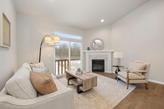 living room with wood-type flooring and a premium fireplace