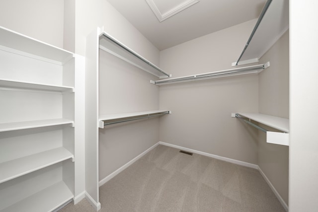 walk in closet featuring light colored carpet