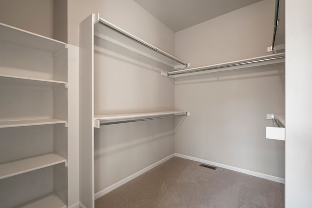 spacious closet featuring carpet floors