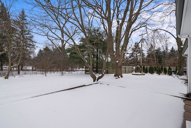 view of yard layered in snow