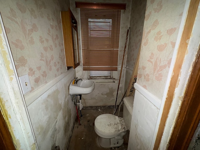 bathroom with toilet and sink