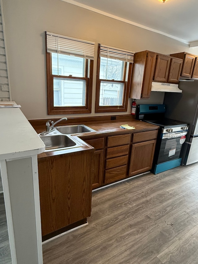 kitchen featuring hardwood / wood-style flooring, black electric range oven, stainless steel refrigerator, and sink