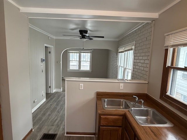 kitchen featuring ceiling fan, dark hardwood / wood-style flooring, ornamental molding, and sink