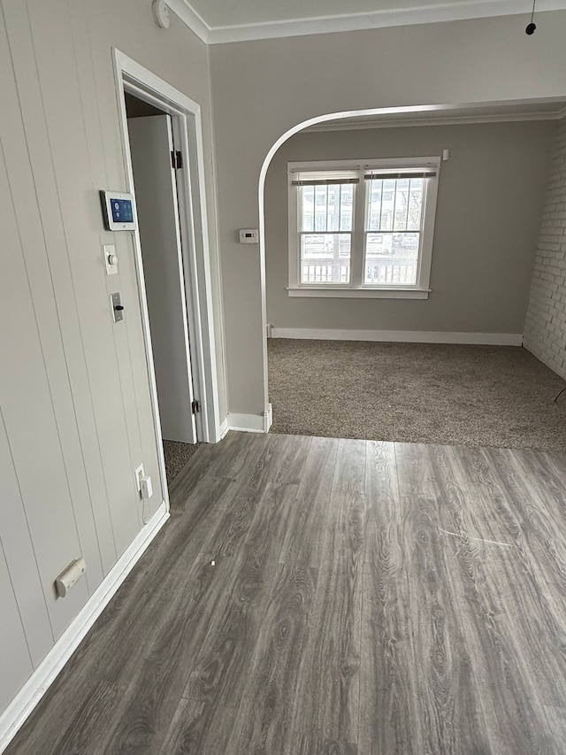 spare room with ornamental molding and dark wood-type flooring