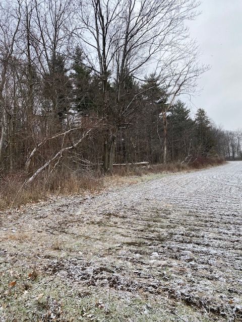 00 E Colwood Rd, Caro, MI 48723