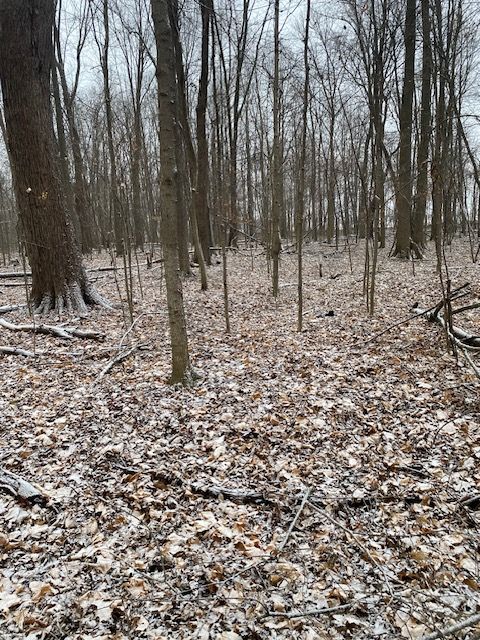 00 E Colwood Rd, Caro, MI 48723