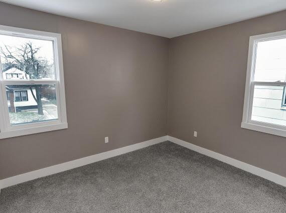 unfurnished room featuring carpet