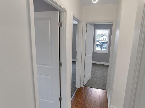 corridor featuring dark hardwood / wood-style floors