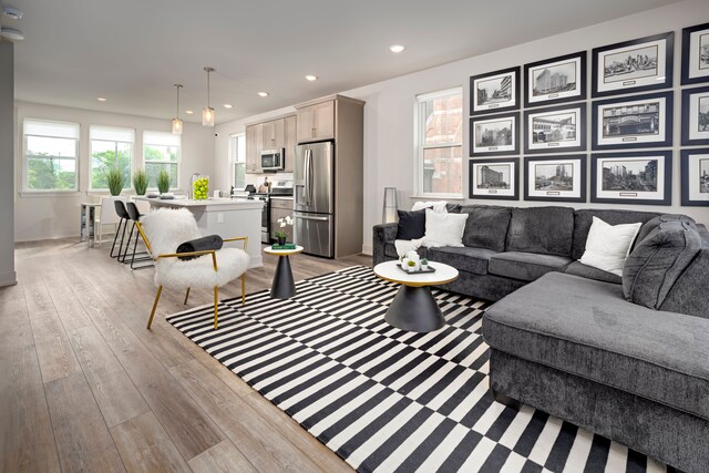 living room featuring light hardwood / wood-style flooring