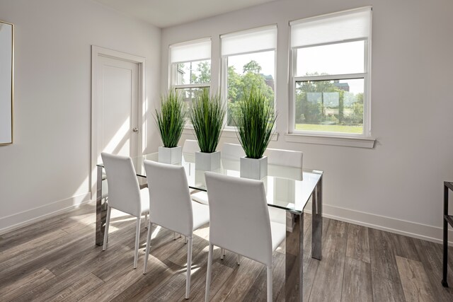 dining area with hardwood / wood-style flooring