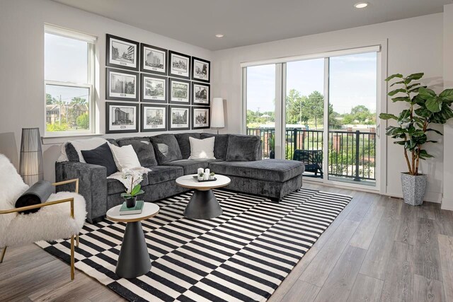 living room featuring light hardwood / wood-style flooring