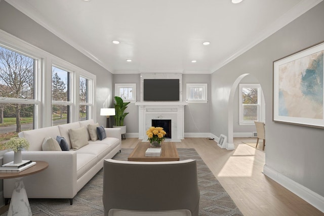 living room featuring crown molding and light wood-type flooring