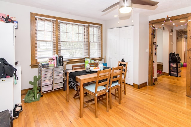 dining space with ceiling fan and light hardwood / wood-style floors