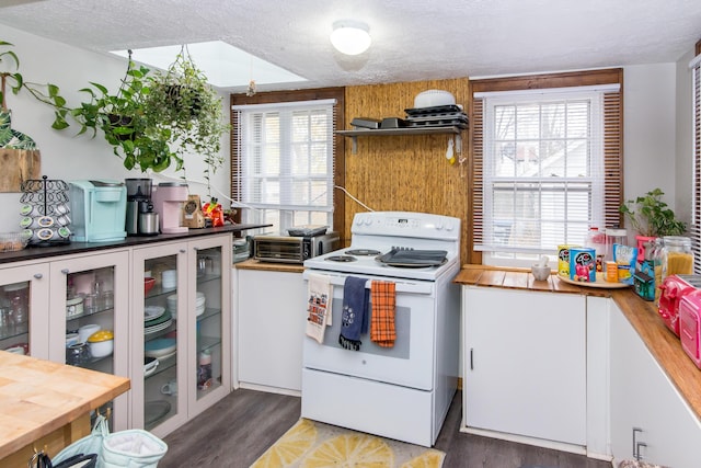 kitchen with dark wood-type flooring, a textured ceiling, and white electric range