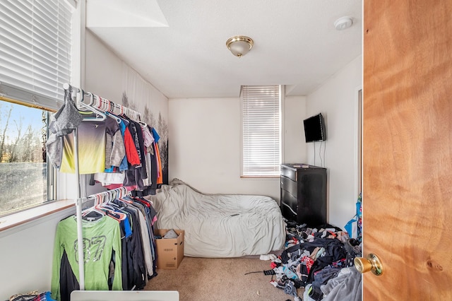 walk in closet with carpet flooring