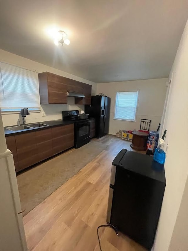 kitchen featuring black appliances, dark brown cabinetry, sink, and light hardwood / wood-style floors