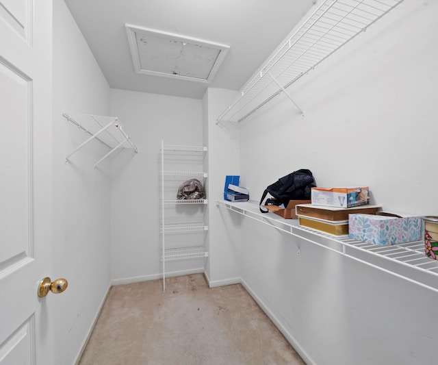 walk in closet with light carpet