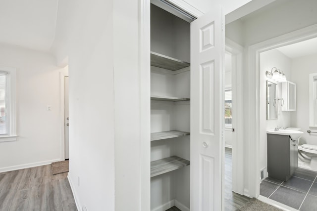 closet with sink