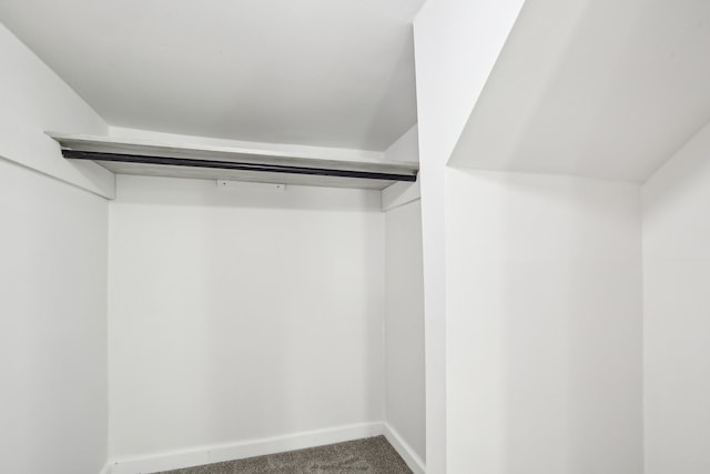 walk in closet featuring carpet