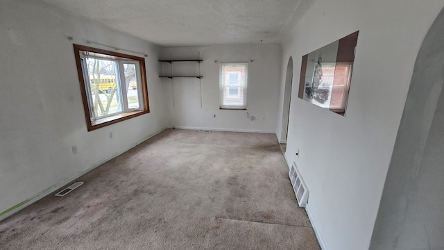 unfurnished room with a textured ceiling, plenty of natural light, and light carpet