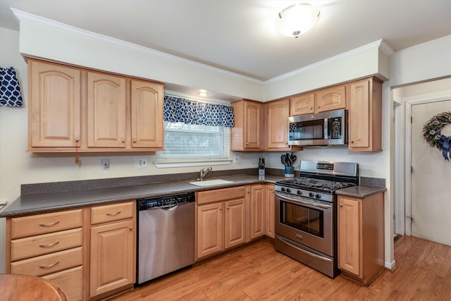 kitchen with crown molding, light hardwood / wood-style floors, sink, and stainless steel appliances