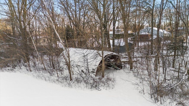 view of snowy landscape