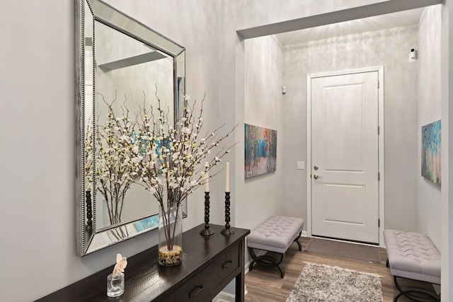 foyer featuring light hardwood / wood-style floors