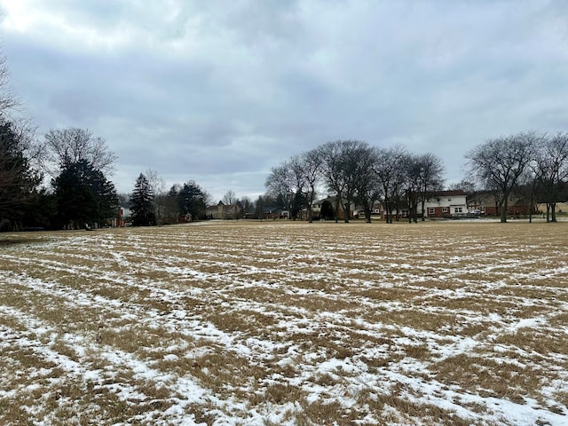 view of yard covered in snow