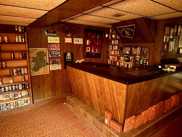 bar featuring wood walls