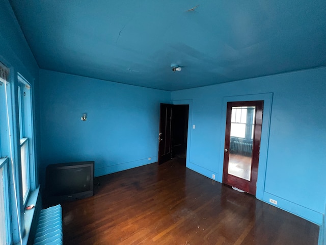 empty room featuring wood finished floors