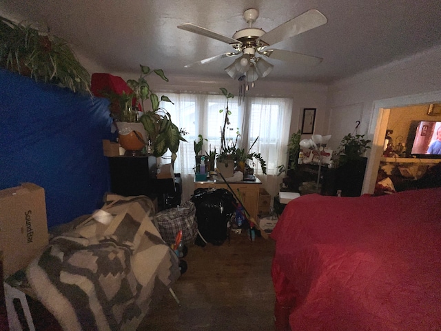 bedroom featuring ceiling fan