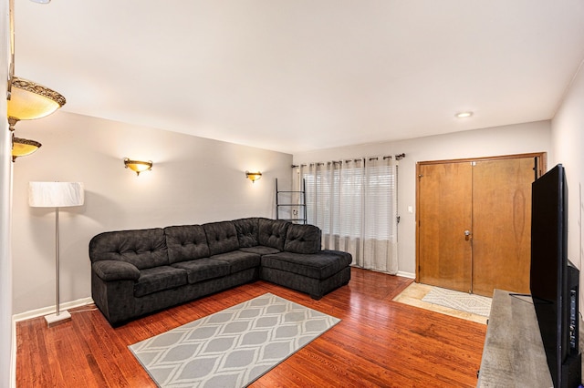 living room featuring wood-type flooring