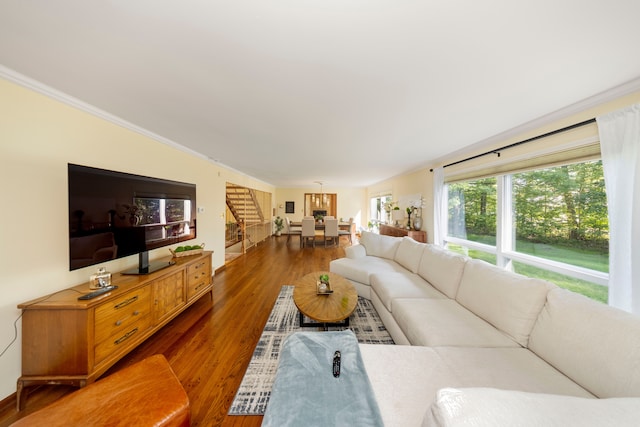 living room featuring crown molding and dark hardwood / wood-style flooring