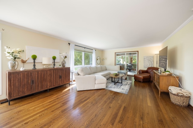 living room with dark hardwood / wood-style flooring and ornamental molding