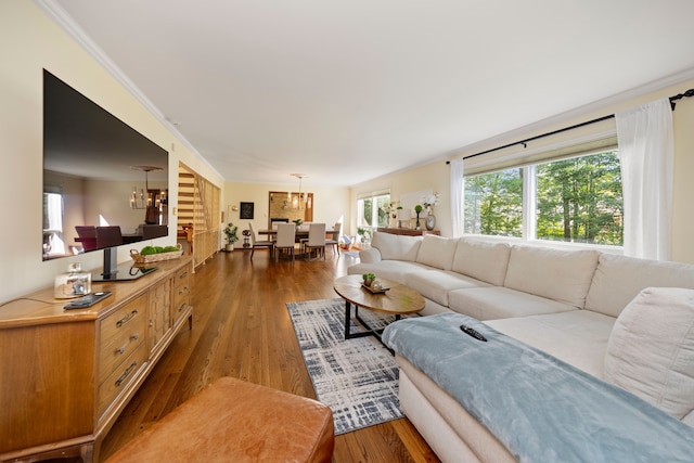 living room featuring dark hardwood / wood-style floors, crown molding, and an inviting chandelier