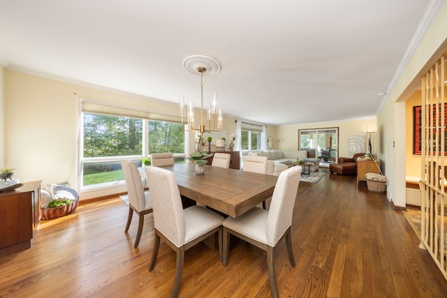 dining room featuring hardwood / wood-style flooring, plenty of natural light, and crown molding