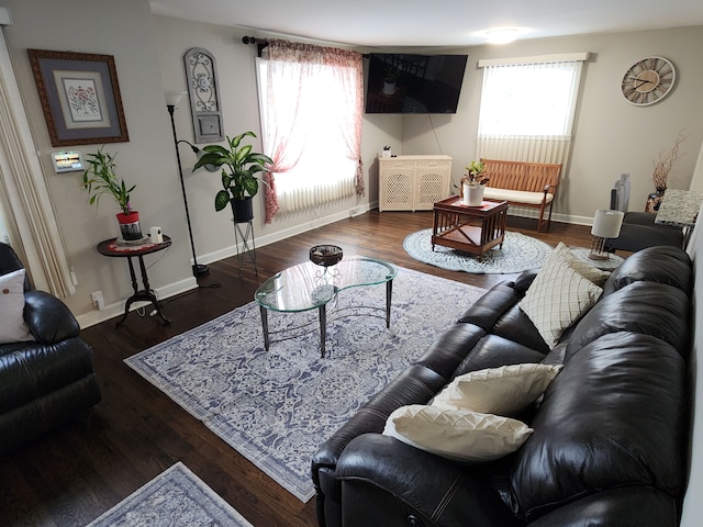 living room with dark hardwood / wood-style floors