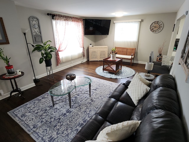 living room with dark hardwood / wood-style floors