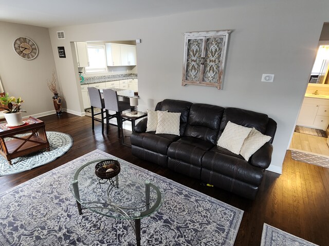 living room with dark hardwood / wood-style flooring and sink