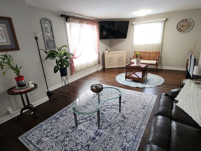 living room with dark hardwood / wood-style floors