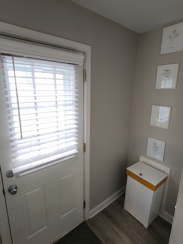 doorway to outside featuring dark hardwood / wood-style floors and a wealth of natural light